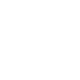 icon shield